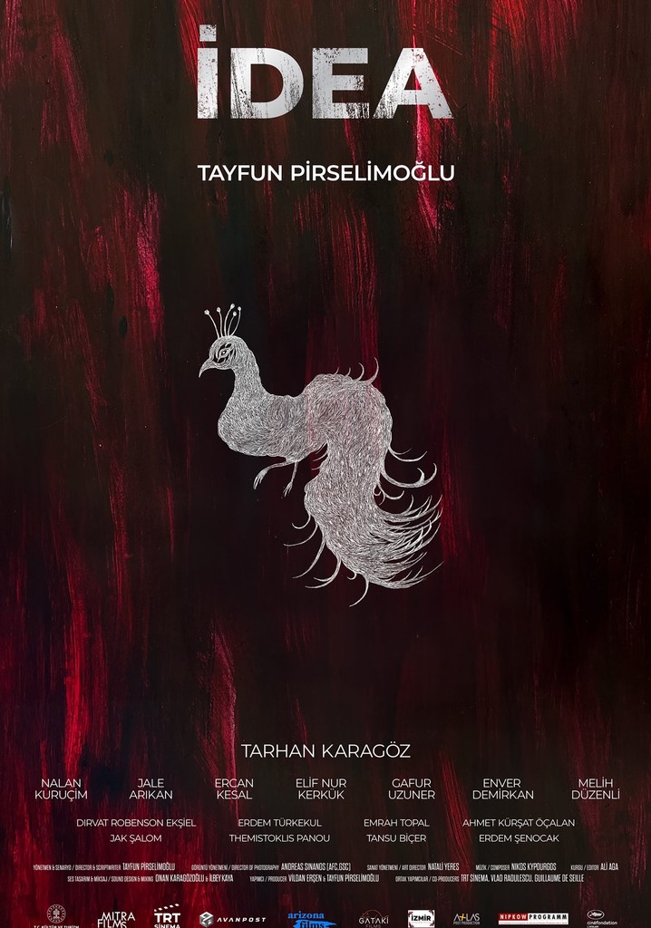 İdea poster
