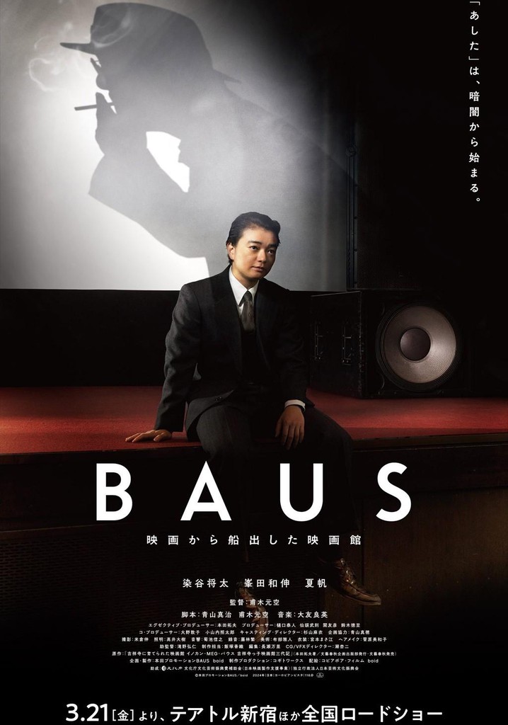 BAUS: The Ship's Voyage Continues poster