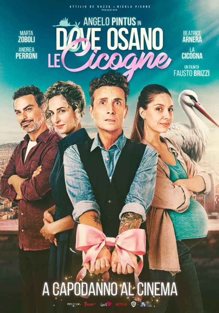 Dove osano le cicogne poster
