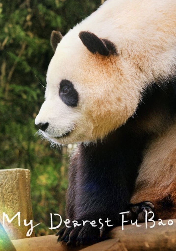 My Dearest Fu Bao poster