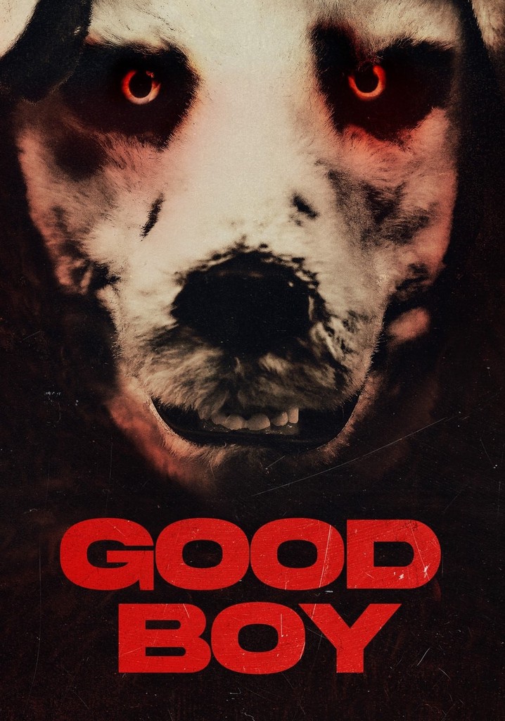 Good Boy poster