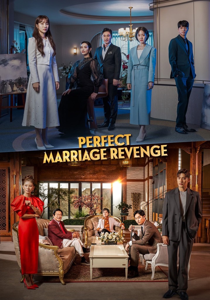 Perfect Marriage Revenge poster