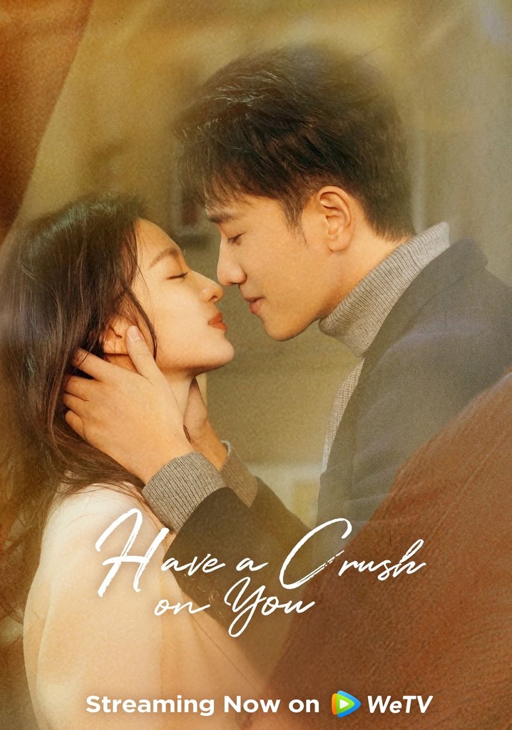 Have a Crush On You poster