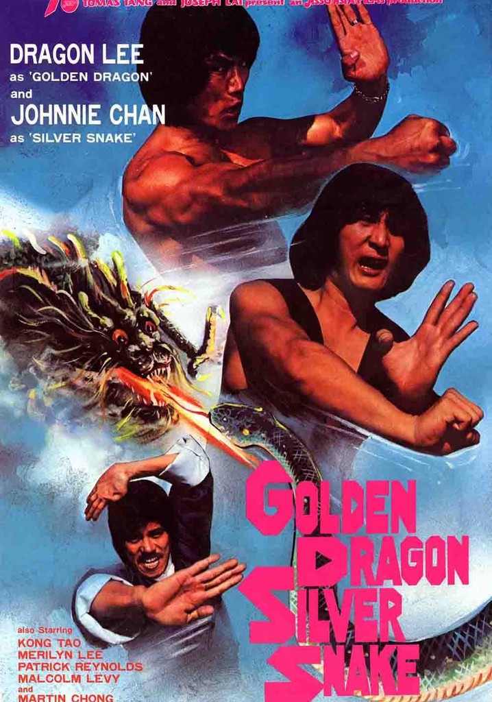 Idling Fist poster