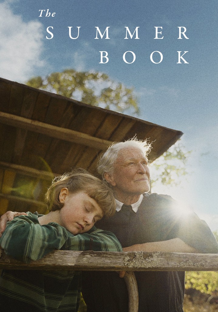 The Summer Book poster