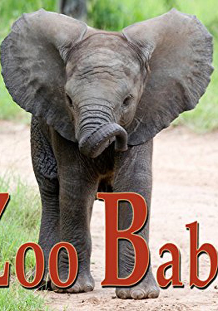 Zoobabies poster
