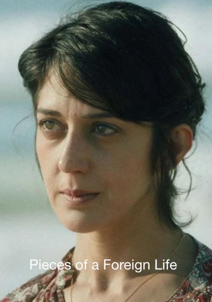 Pieces of a Foreign Life poster