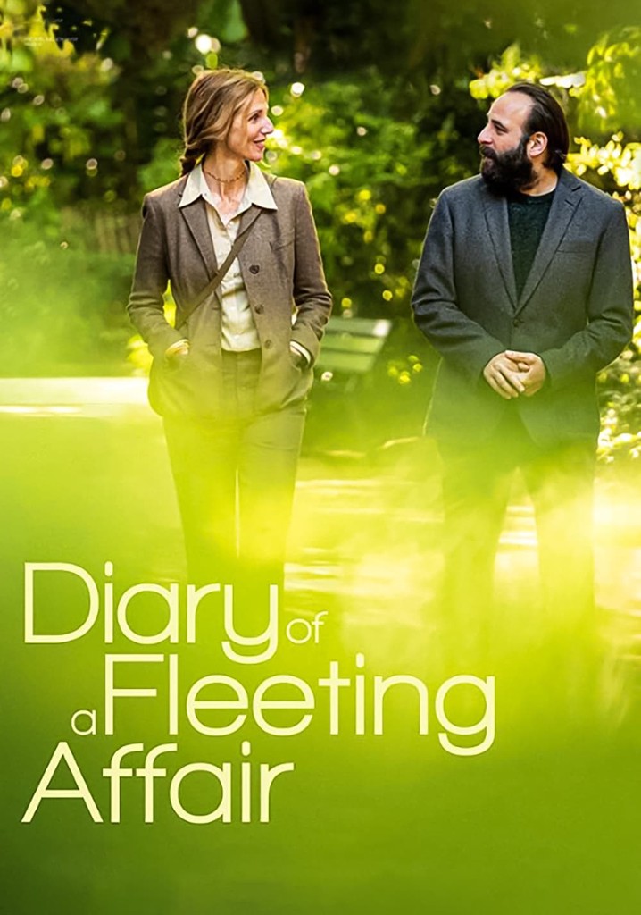Diary of a Fleeting Affair poster