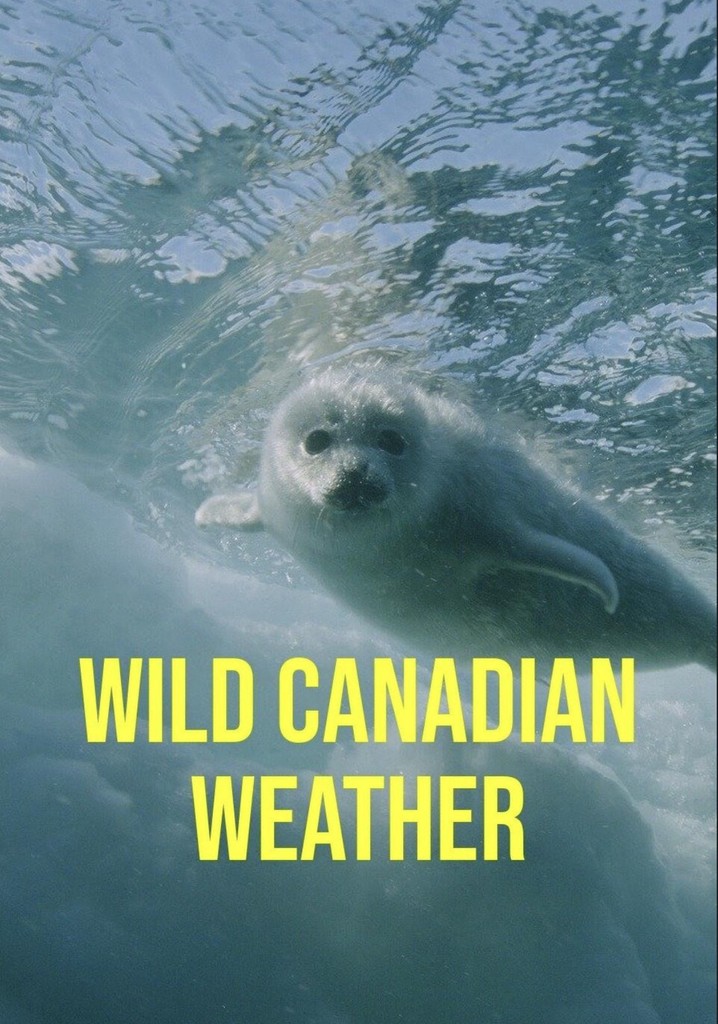 Wild Canadian Weather poster