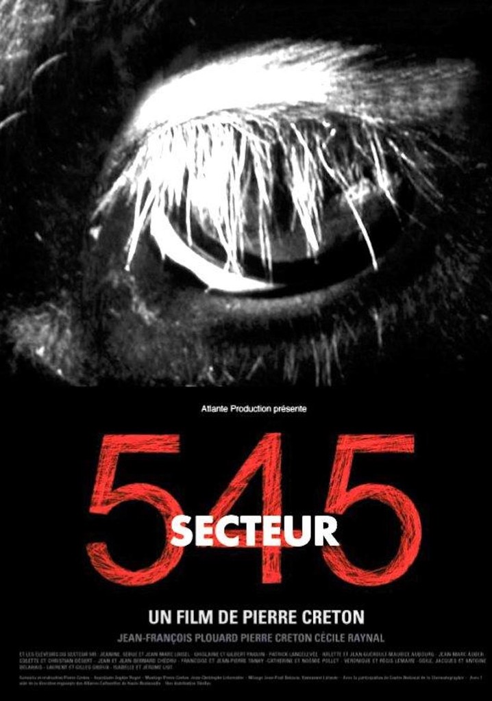 Secteur 545 poster