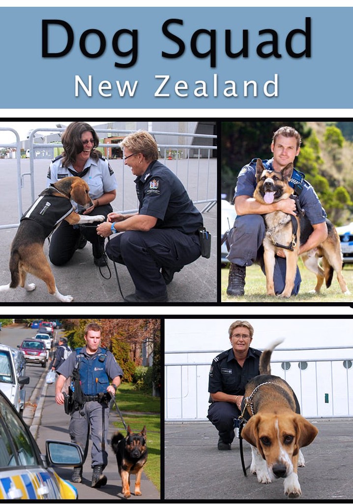 Dog Squad poster