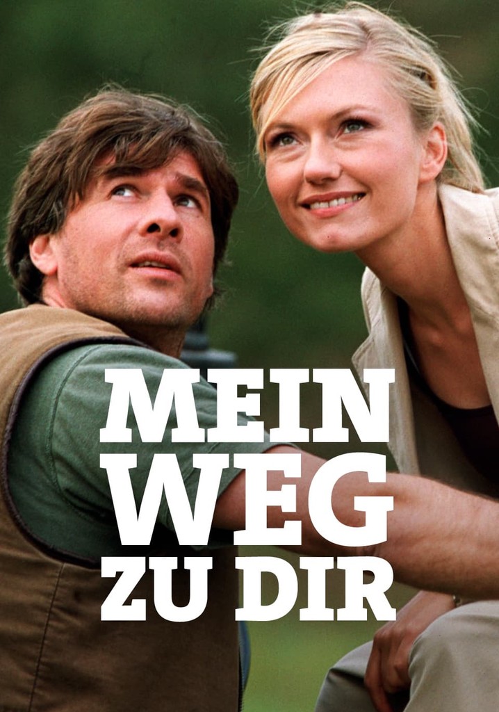 Mein Weg zu Dir poster