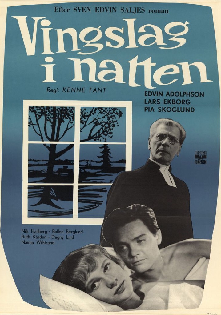 Vingslag i natten poster