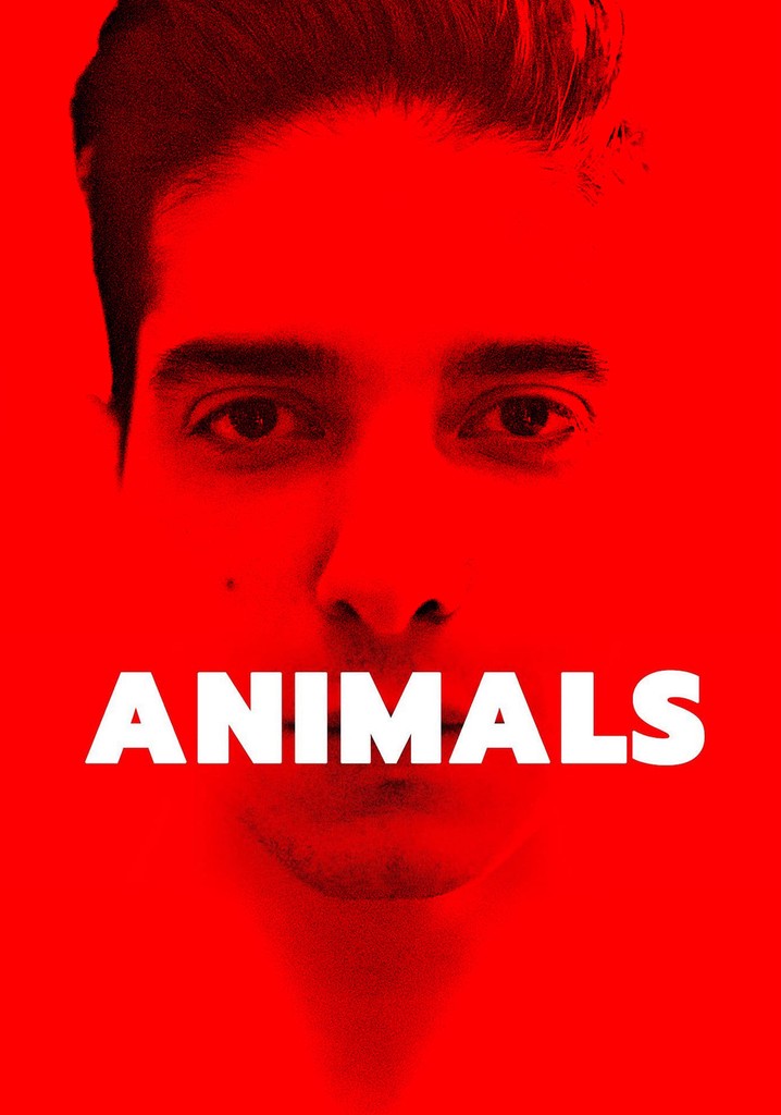 Animals poster