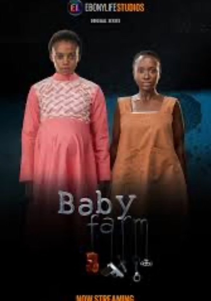 Baby Farm poster