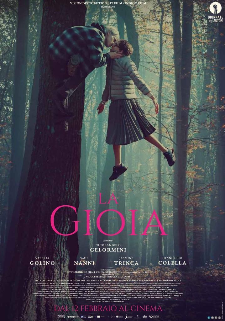 La gioia poster