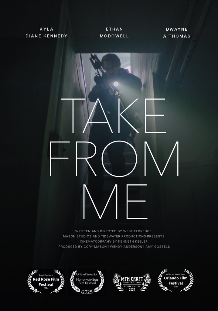 Take from Me poster