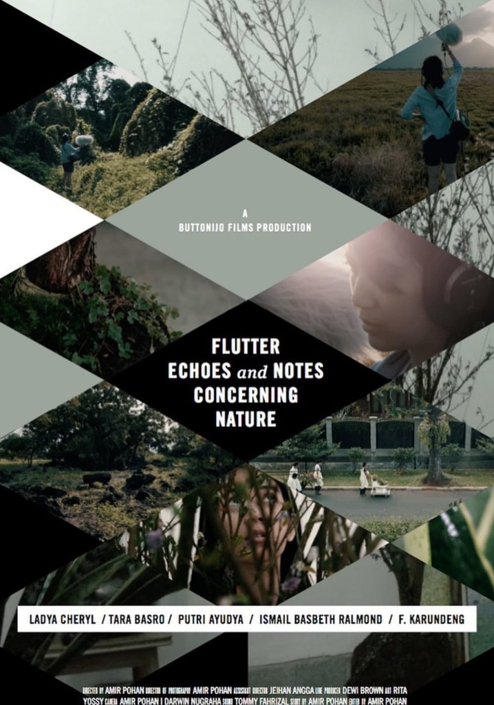 Flutter Echoes and Notes Concerning Nature poster