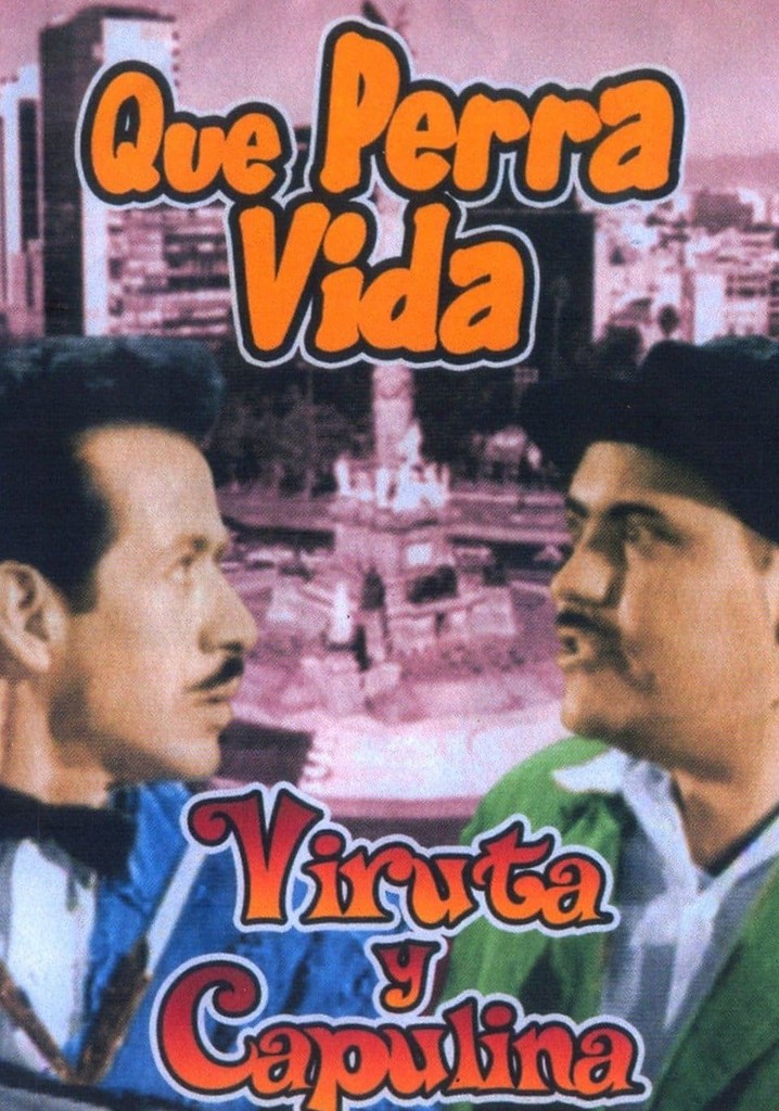 Qué perra vida poster
