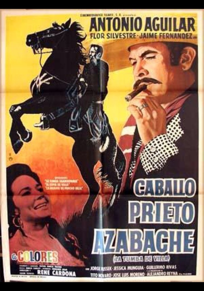 Caballo prieto azabache poster