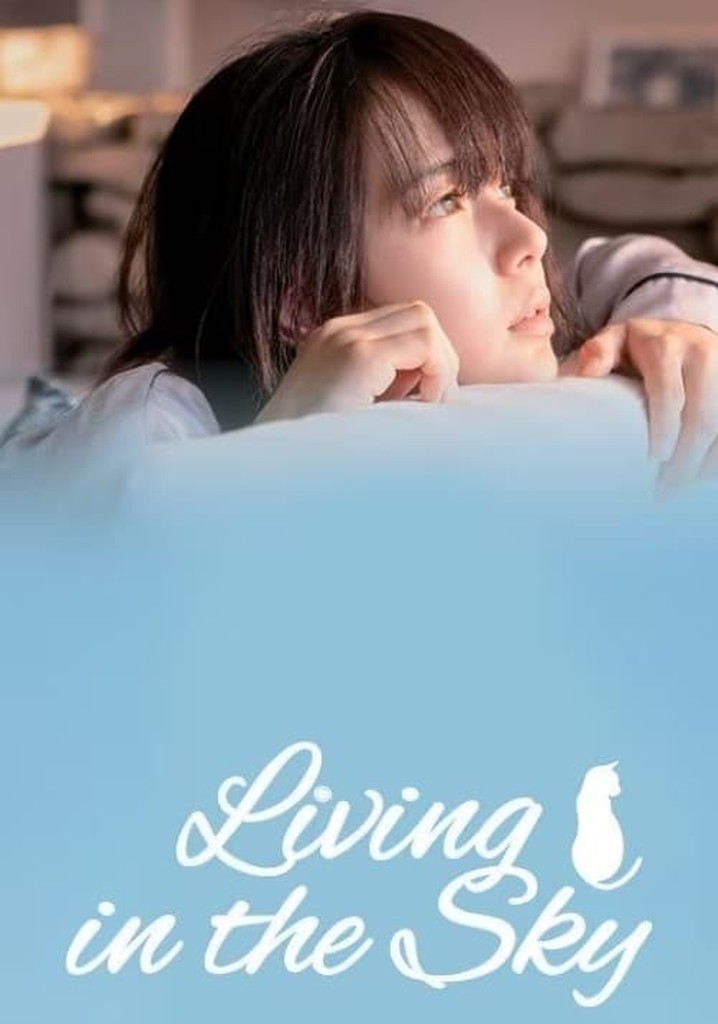 Living In Your Sky poster