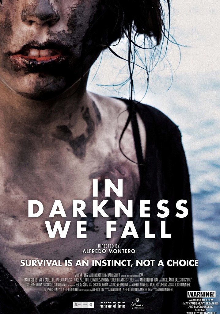 In Darkness We Fall poster