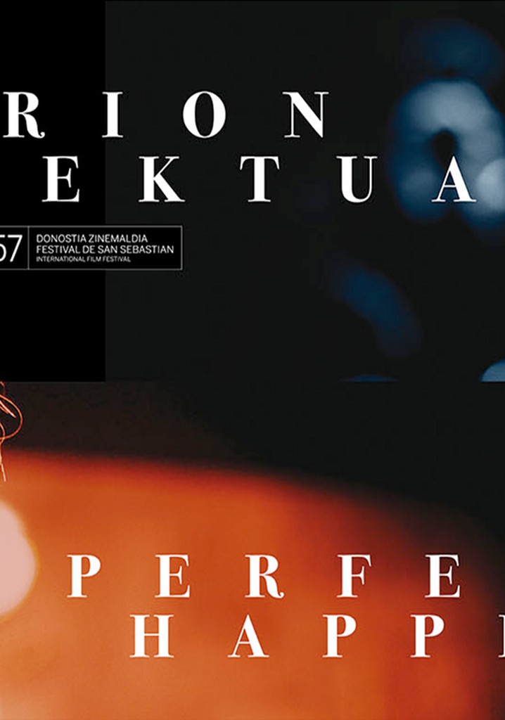 Perfect Happiness poster