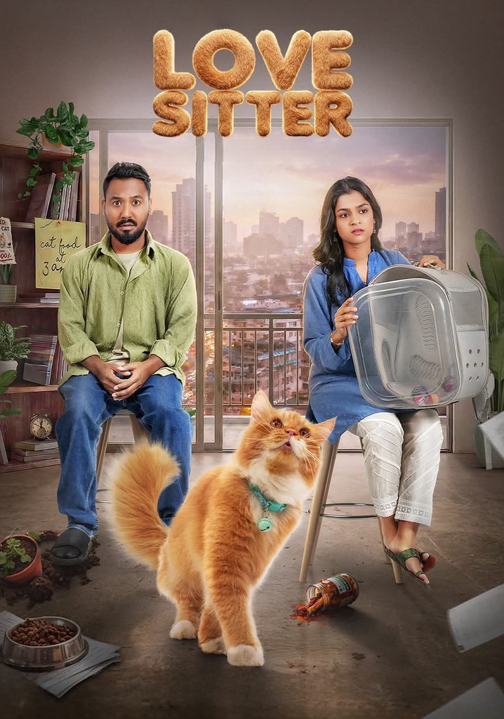 Love Sitter poster