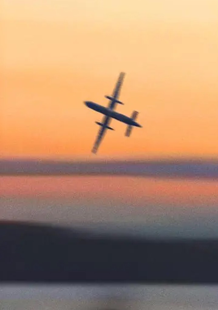 #Skyking poster