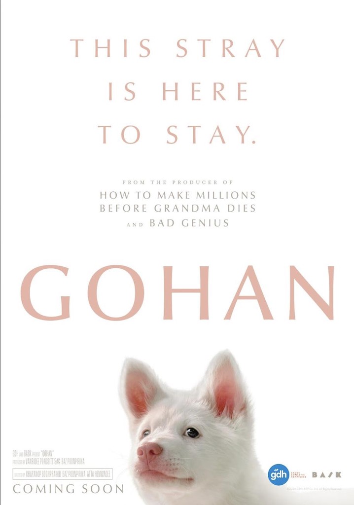 Gohan poster
