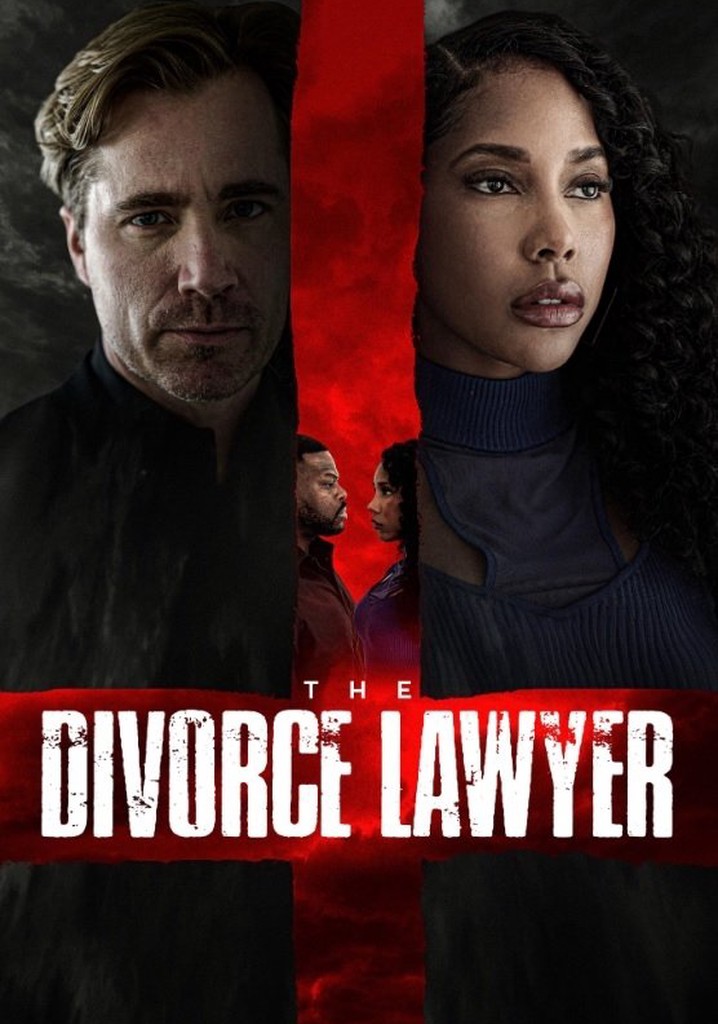 The Divorce Lawyer poster