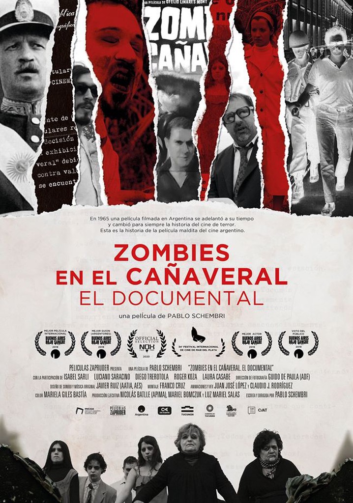 Zombies in the Sugar Cane Field: The Documentary poster
