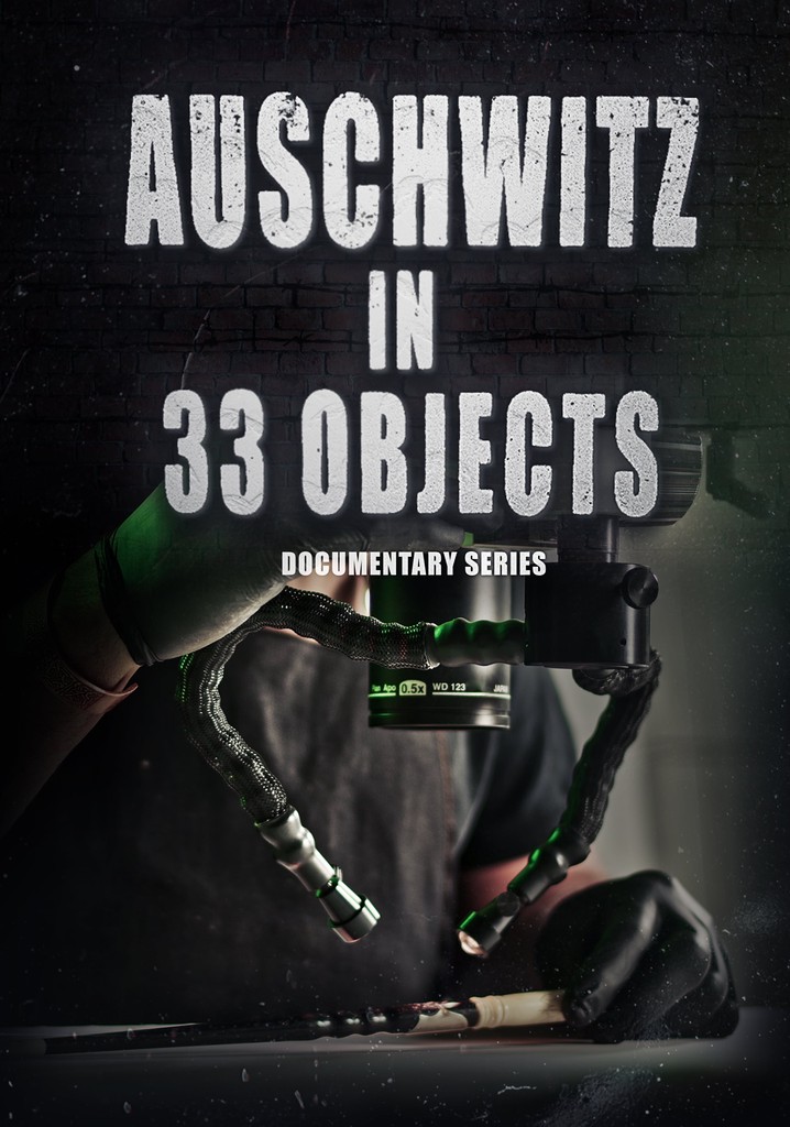 Historia Auschwitz w 33 Przedmiotach poster