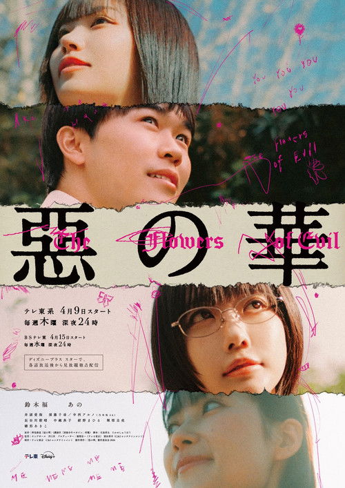 The Flowers of Evil poster
