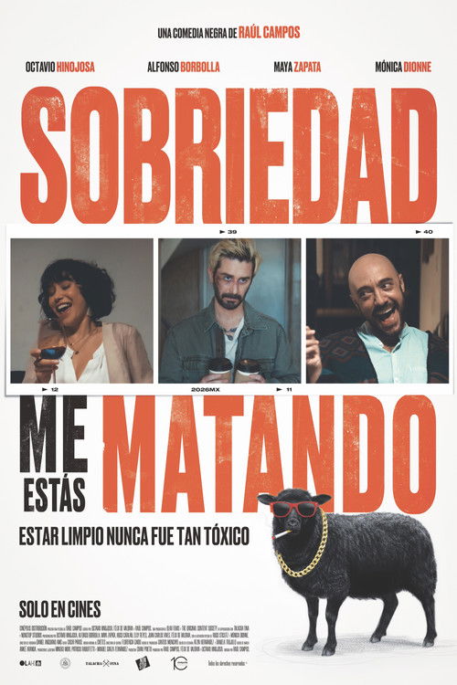 Dear Sobriety: You're Killing Me poster