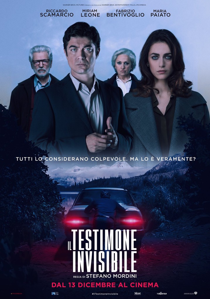 The Invisible Witness poster