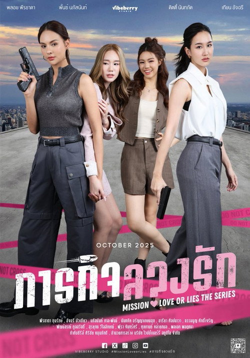 Mission: Love or Lies poster