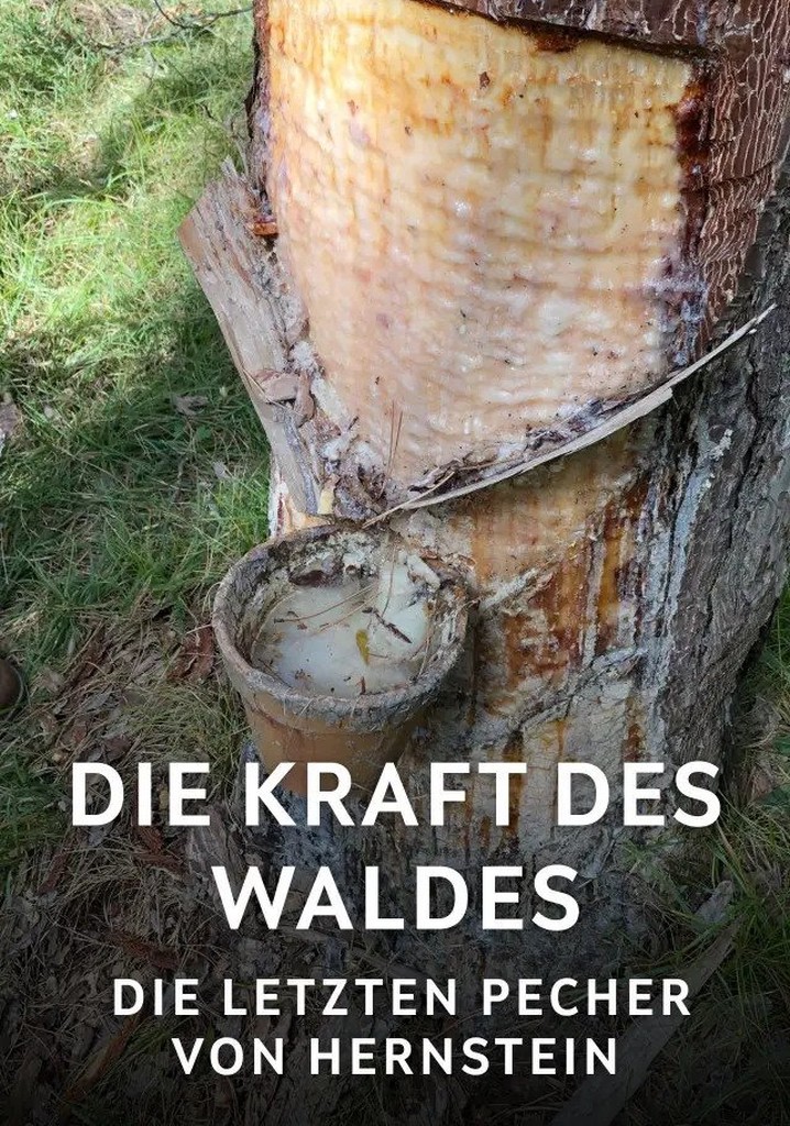 Die Kraft des Waldes - Die letzten Pecher von Hernstein poster