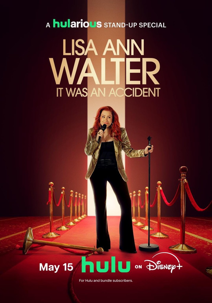 Lisa Ann Walter: It Was an Accident poster