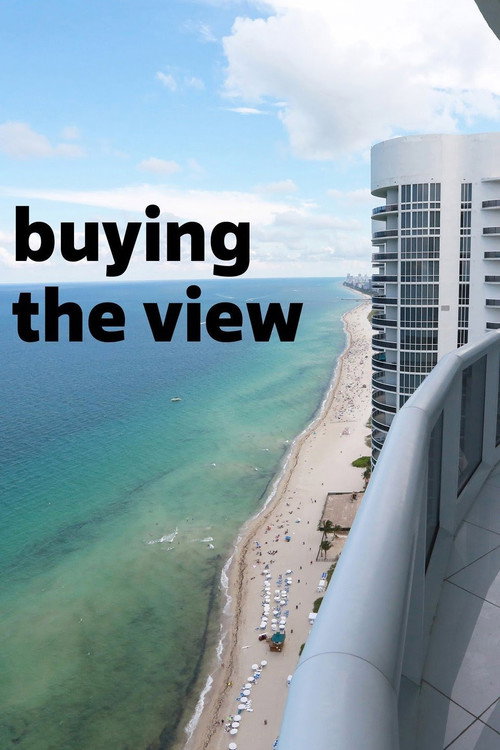 Buying the View poster