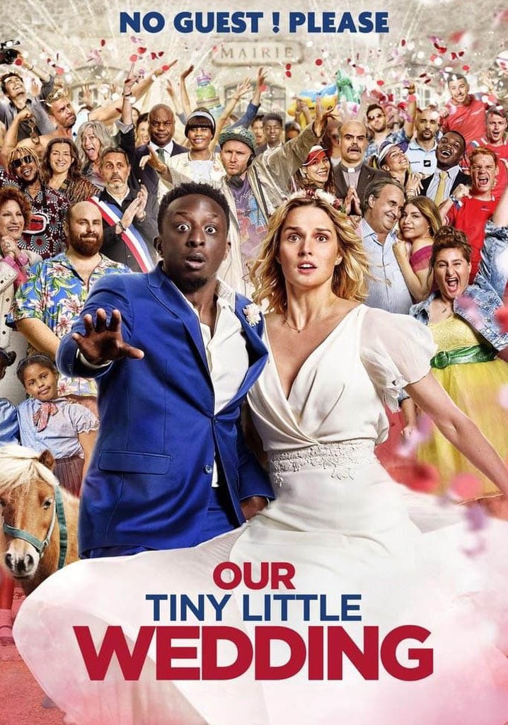 Our Tiny Little Wedding poster