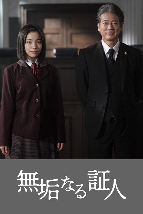 Innocent Witness poster