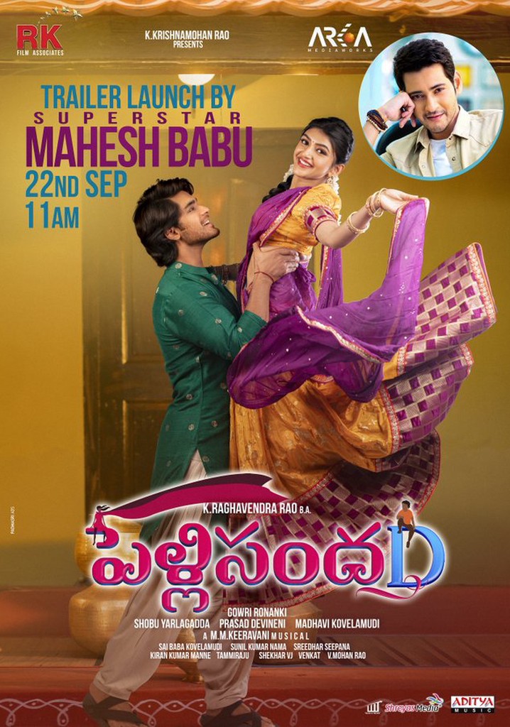 Pelli SandaD poster