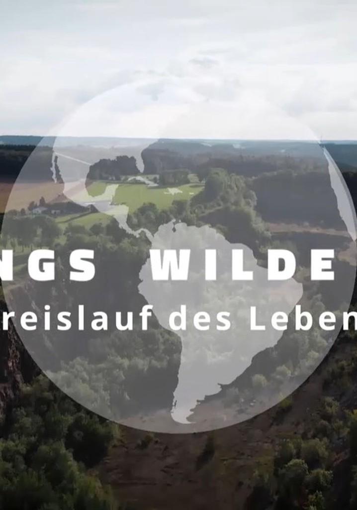 Kielings wilde Welt poster