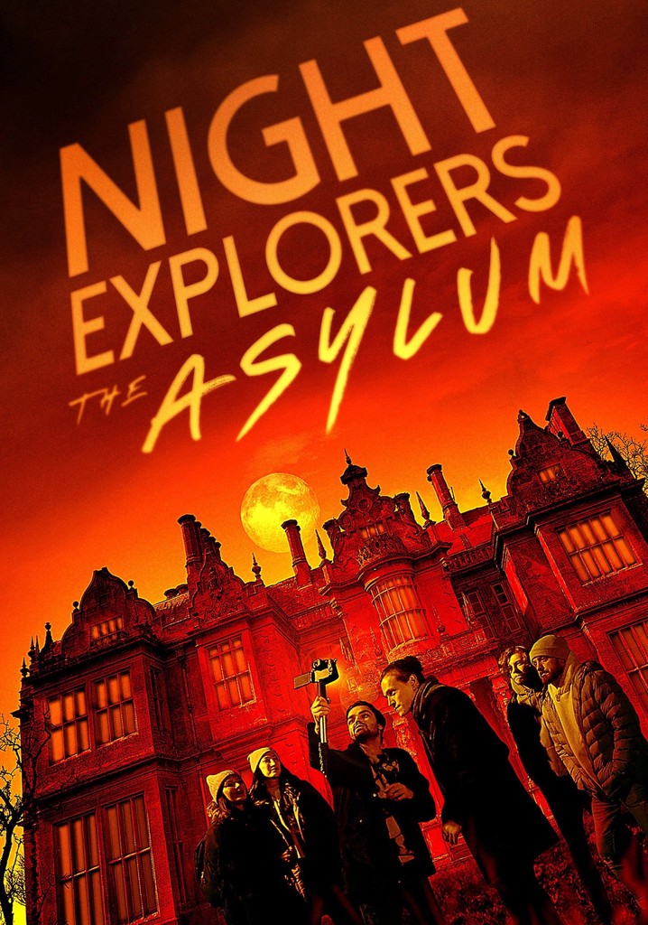 Night Explorers: The Asylum poster
