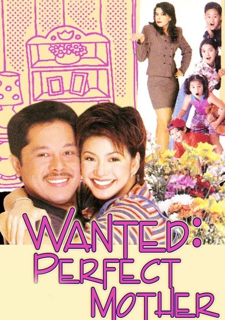 Wanted: Perfect Mother poster