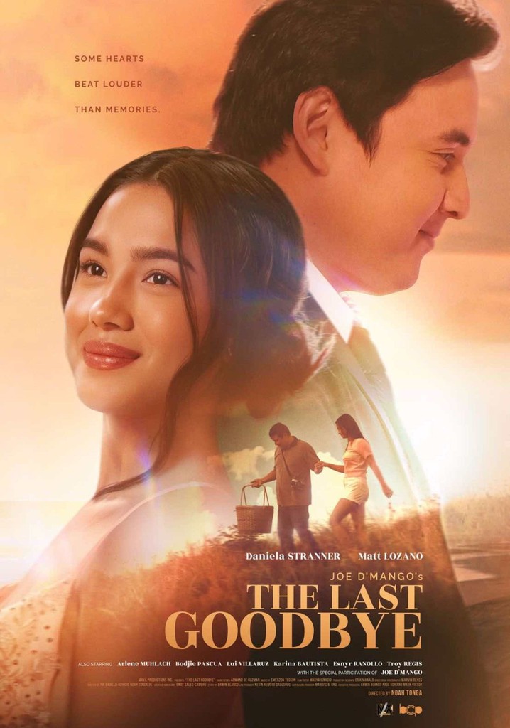 The Last Goodbye poster