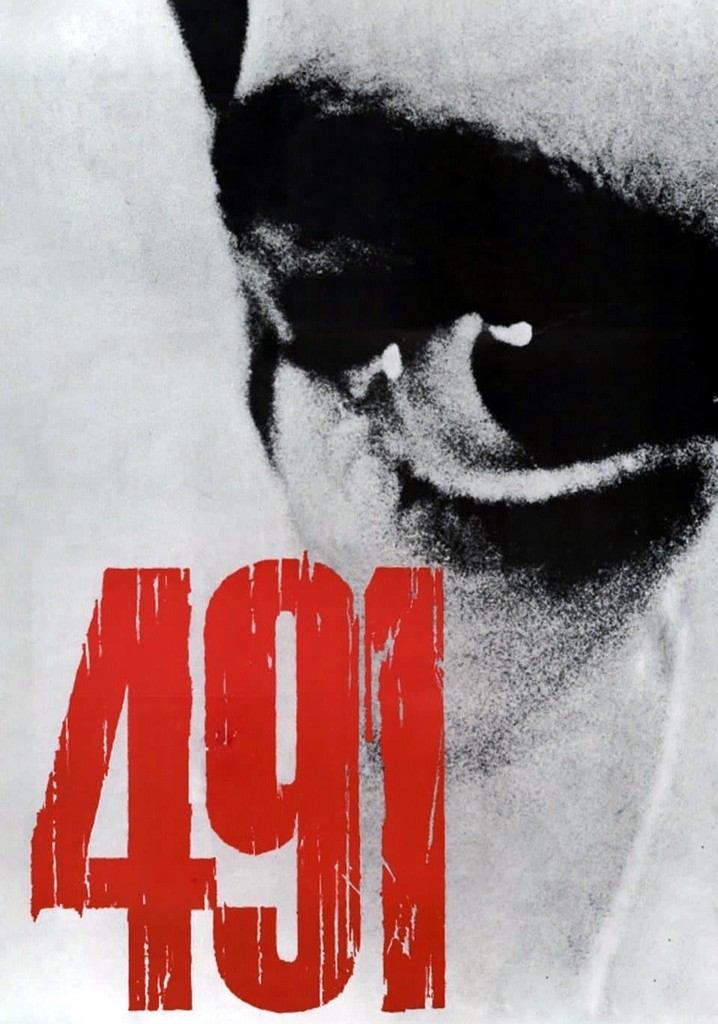 491 poster