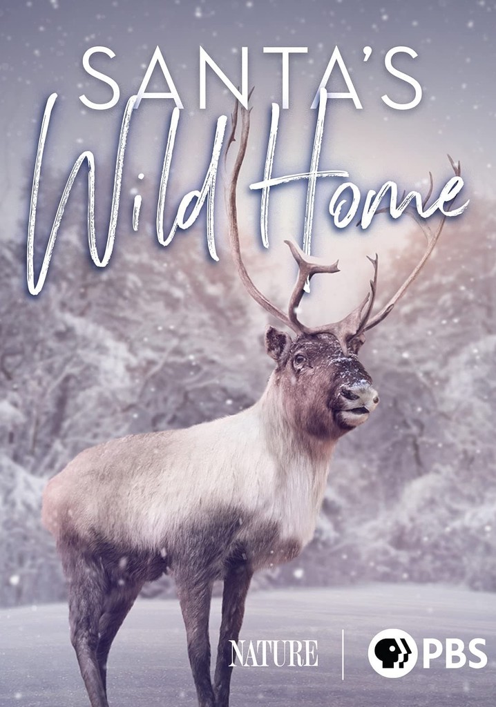 Santa's Wild Home poster