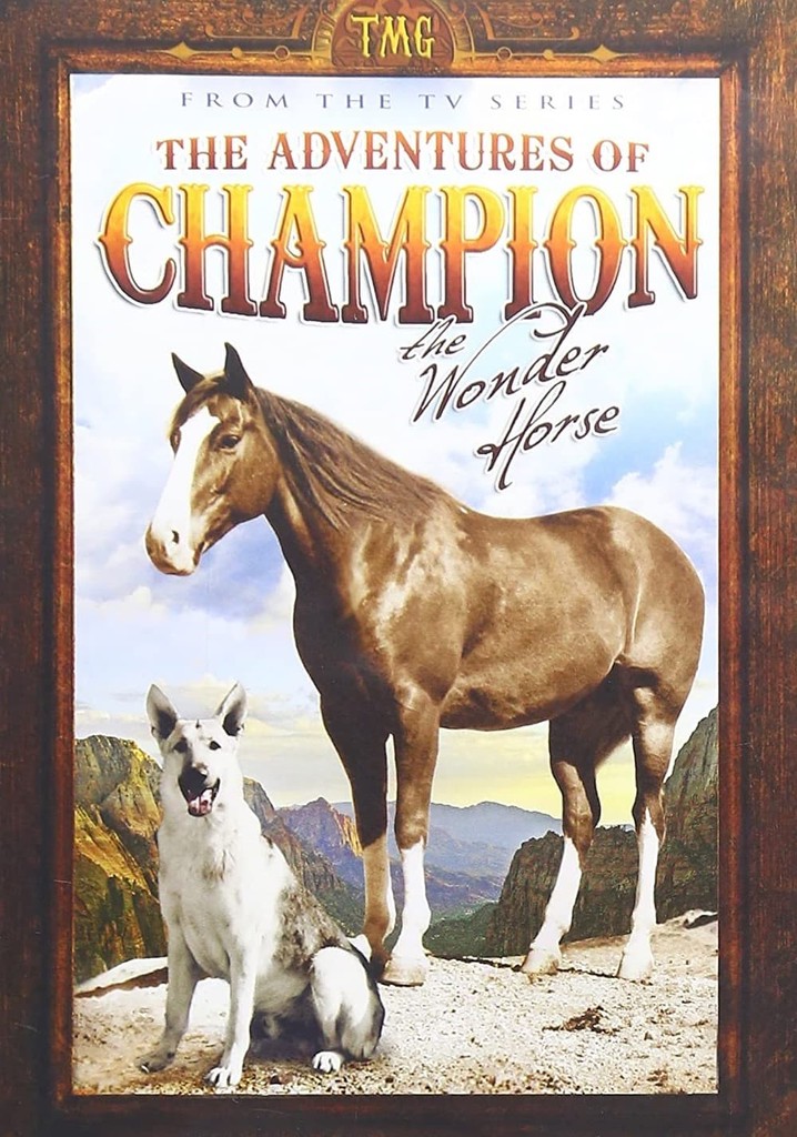 The Adventures of Champion poster